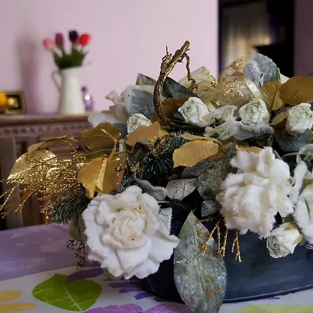 Bed & Breakfast B&B Monte Dei Pegni