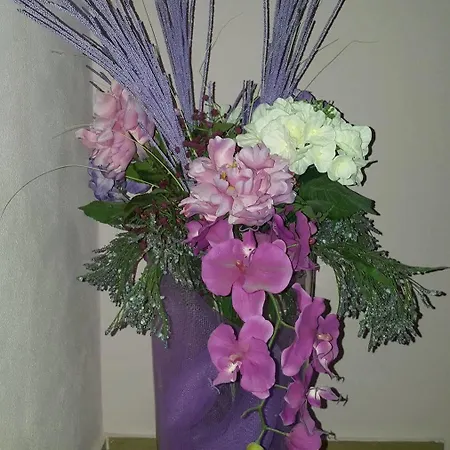 Oda ve Kahvaltı Monte Dei Pegni 3*